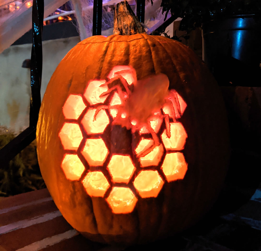 webb-space-pumpkin-carving-webb-telescope-nasa